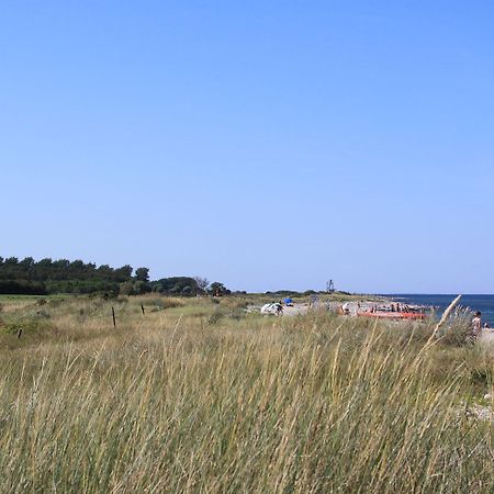 Ferienhaus 4 Campingpark Waldesruh Behrensdorf エクステリア 写真